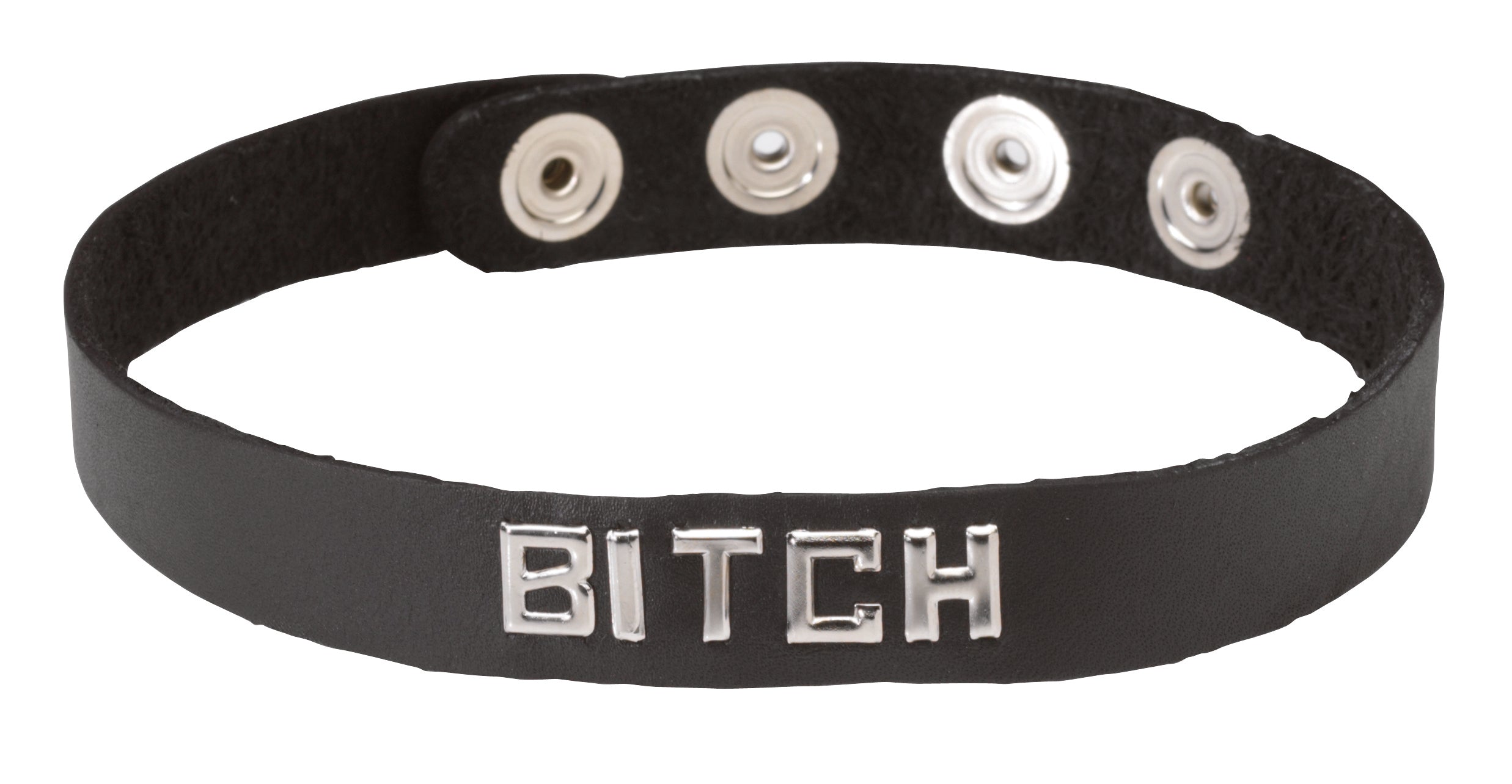 SM COLLAR-BITCH