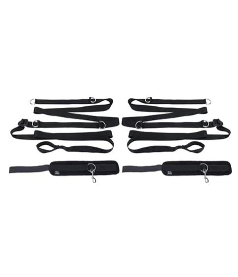 SEX & MISCHIEF ANYWHERE YOU DARE BONDAGE RESTRAINT SYSTEM