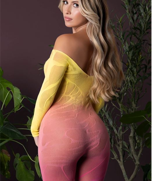 SEAMLESS BODY STOCKING OMBRE SUNSET O/S
