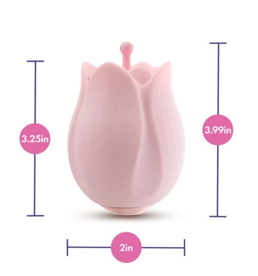 PLAY WITH ME ROMANTIC ROSE PINK
