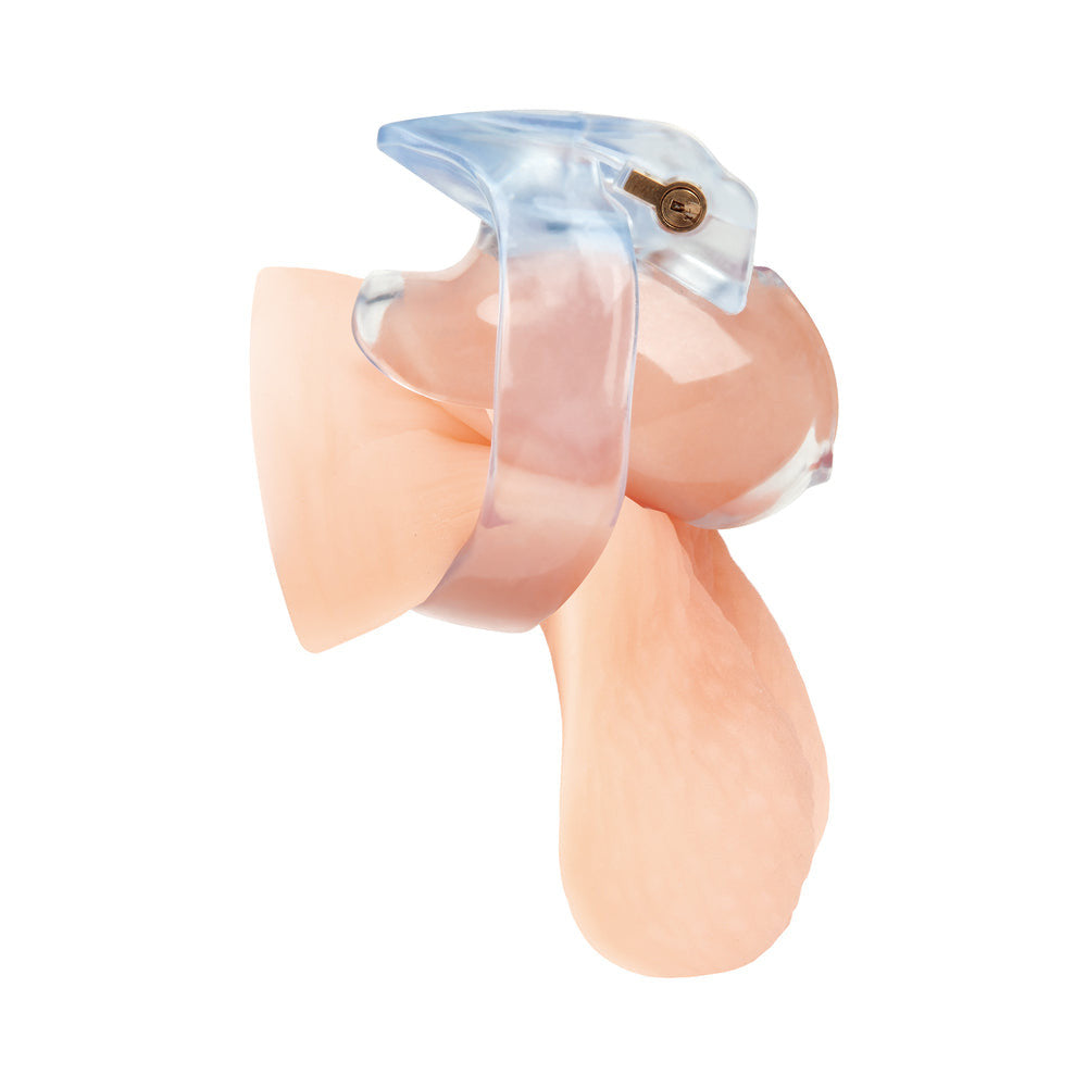 SMALL DICK ARCYLIC MINI CHASTITY CAGE