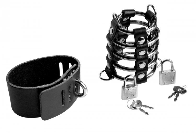 STRICT GATES OF HELL CHASTITY DEVICE
