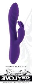 EVOLVED WAVY RABBIT