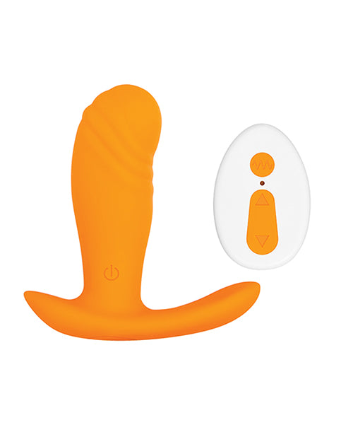 EVOLVED CREAMSICLE