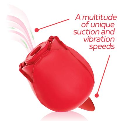 WILD ROSE & TOUNGE RECHARGEABLE