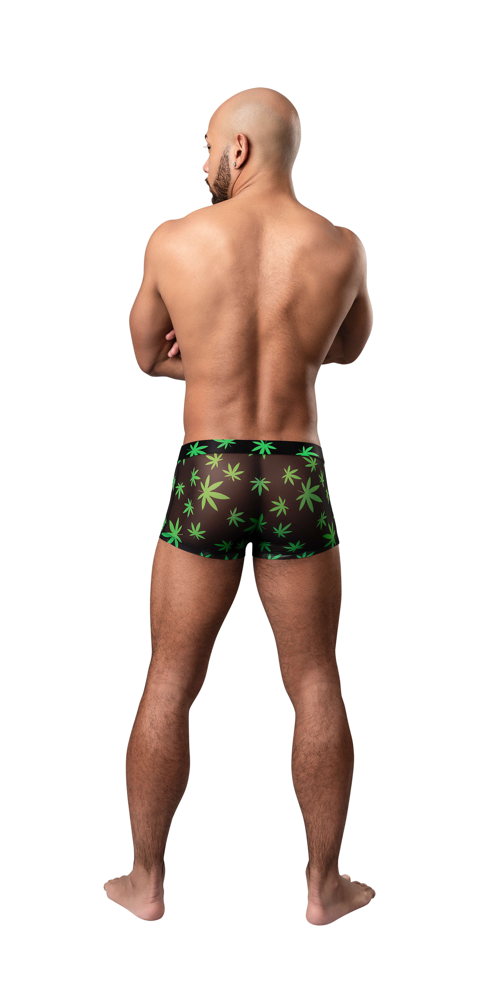 HAZY DAYZ POUCH SHORT POTLEAF SMALL