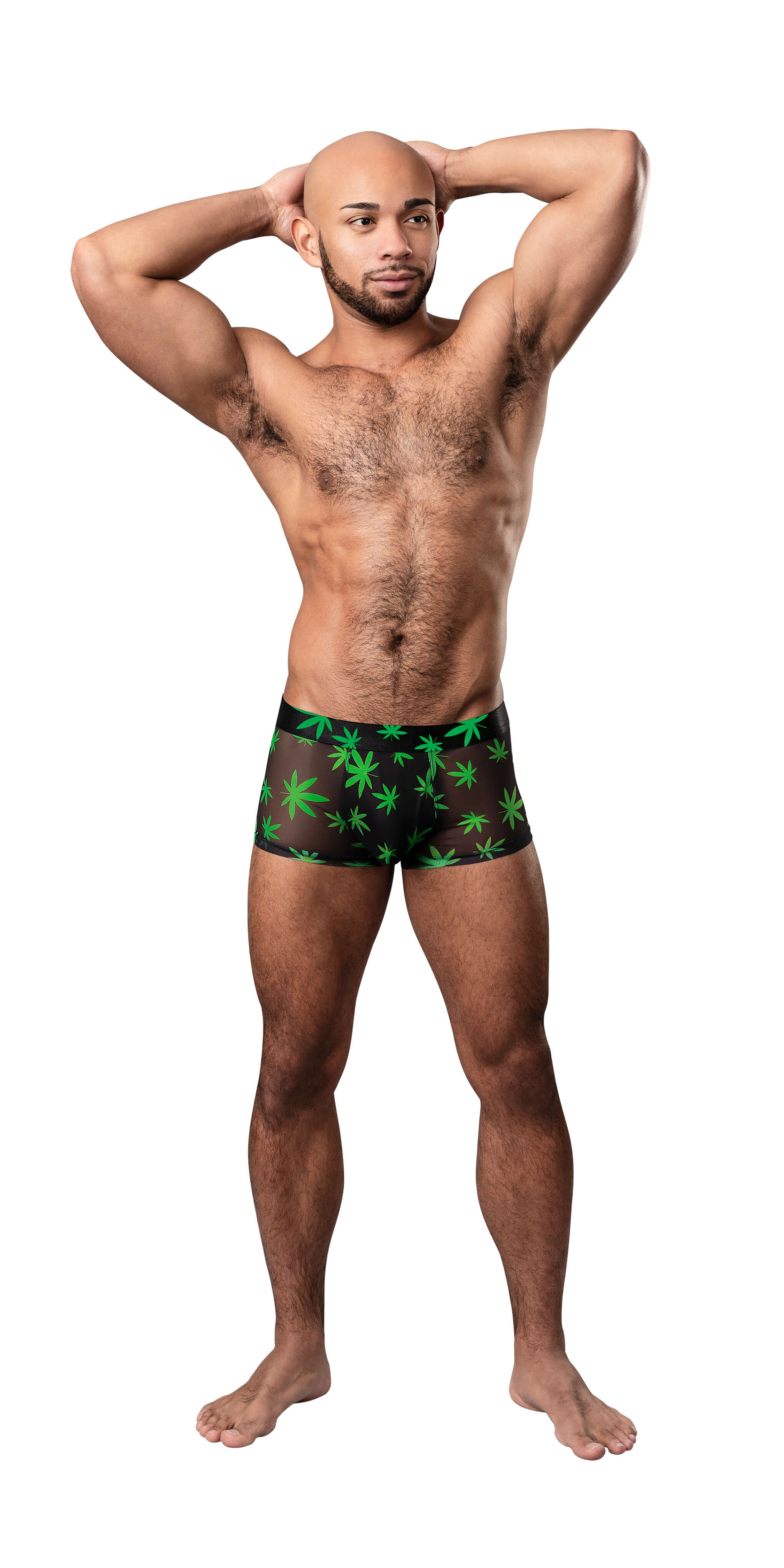 HAZY DAYZ POUCH SHORT POTLEAF SMALL