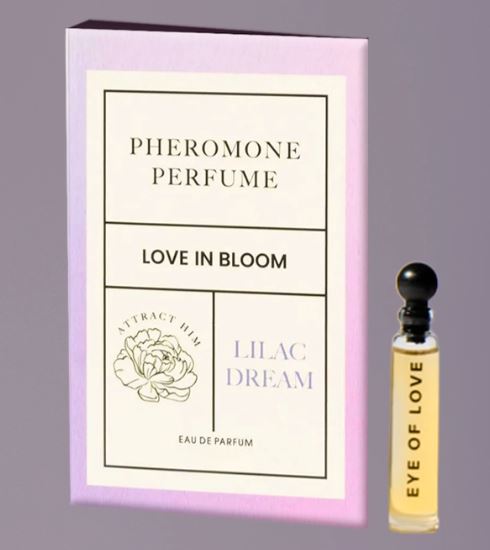 Split Boy Short 2-Pack – Aqua/Black with Lilac Dream Pheromone, 2XL