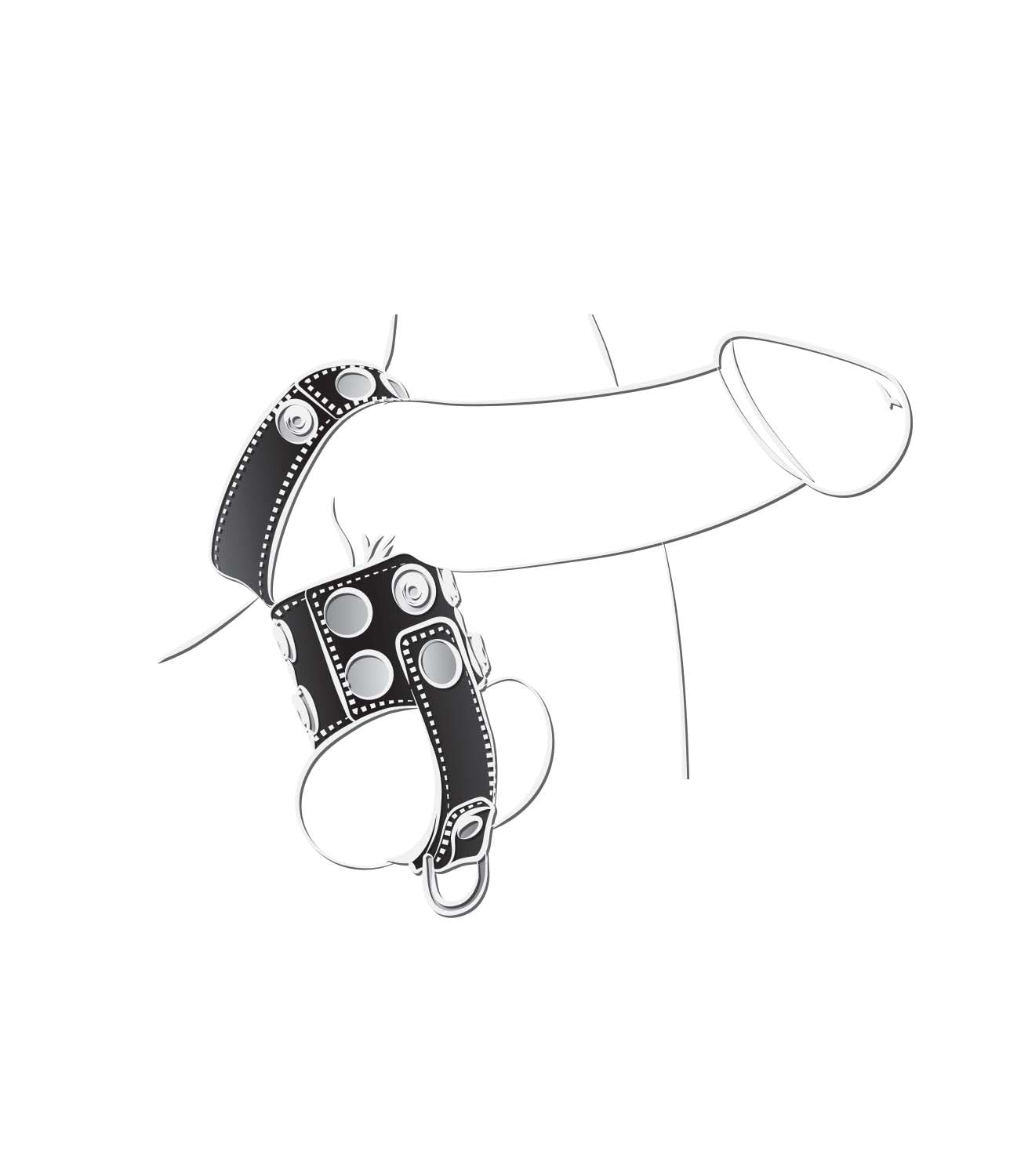 BALLGEAR BALL STRETCHER WITH SEPARATOR & D-RING BLACK