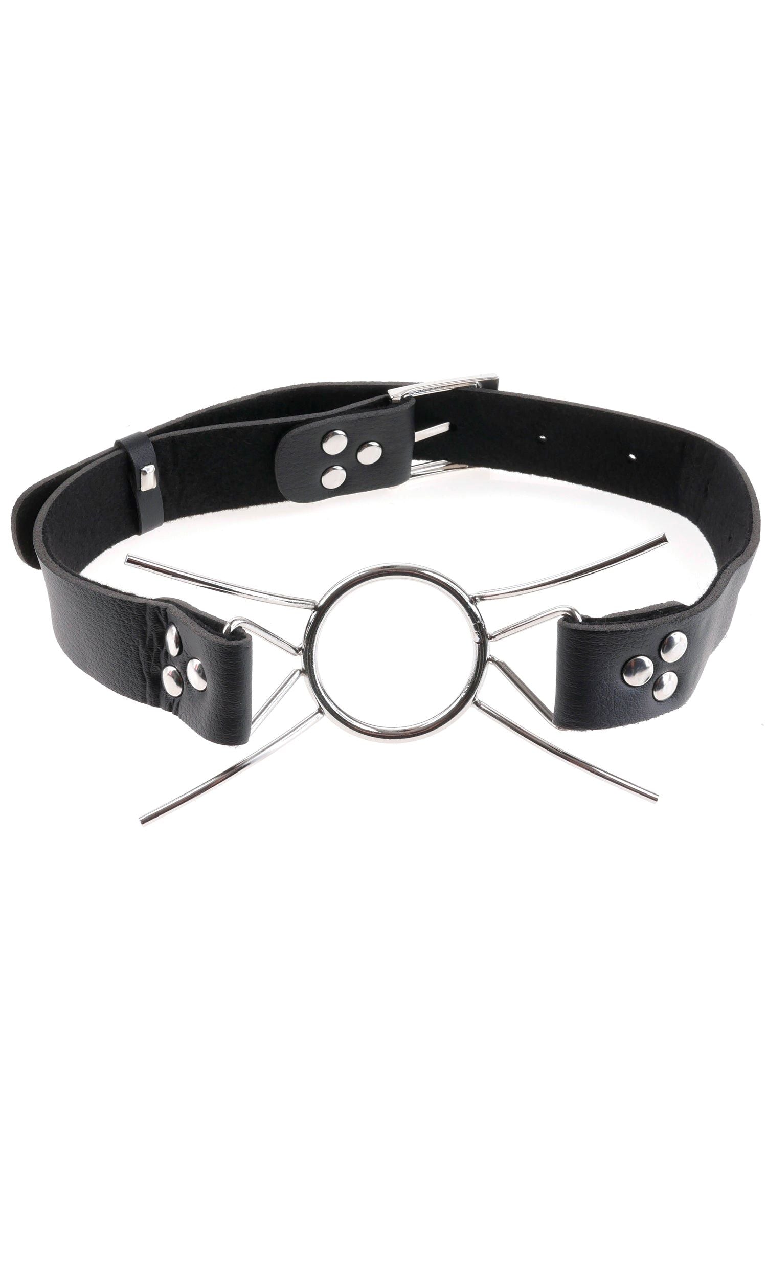 FETISH FANTASY EXTREME SPIDER GAG