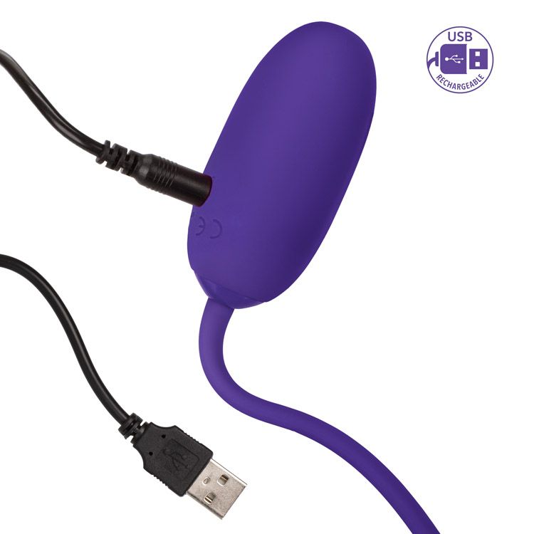 Rechargeable Kegel Ball Starter – Purple