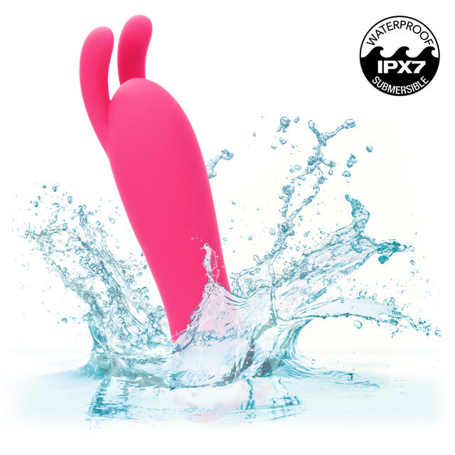 KYST BUNNY