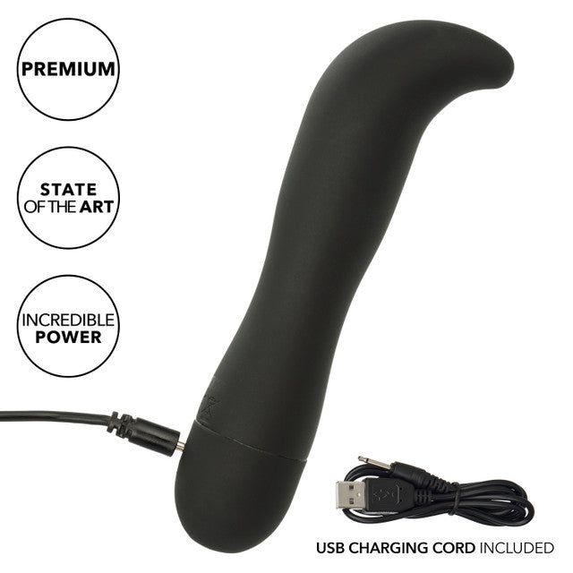 DR. JOEL KAPLAN RECHARGEABLE PROSTATE PROBE