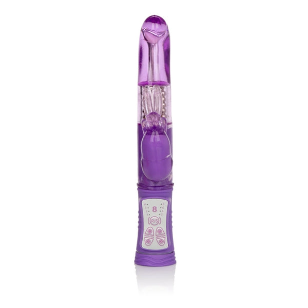 SHANES WORLD JACK RABBIT G" PURPLE "