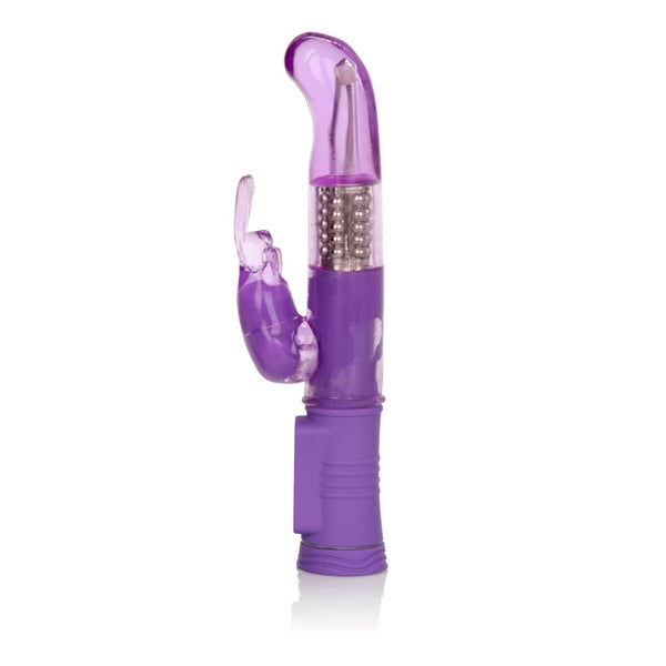 SHANES WORLD JACK RABBIT G" PURPLE "