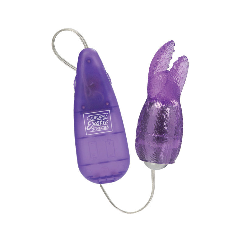 Hi Intensity Snow Bunny – Purple