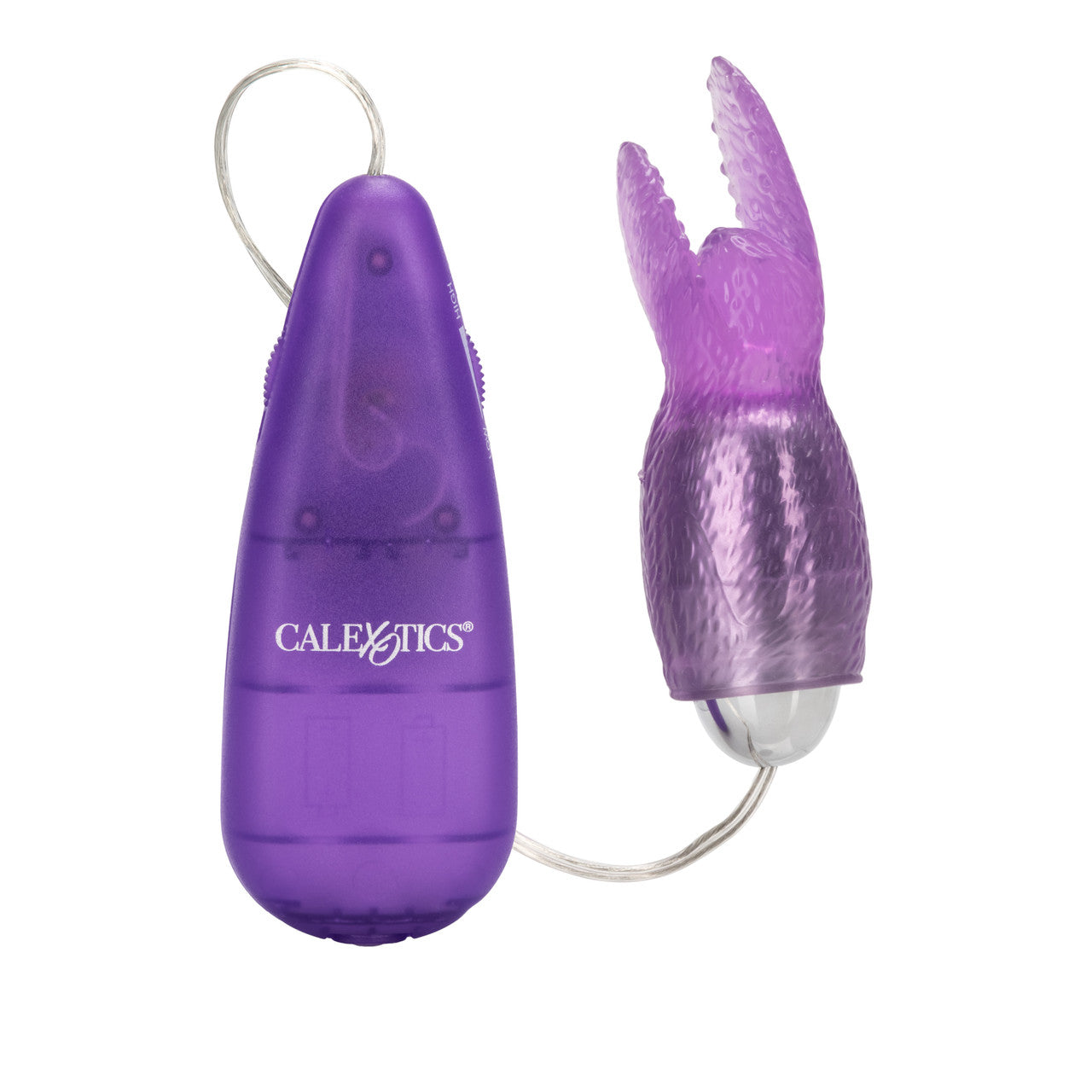 Hi Intensity Snow Bunny – Purple