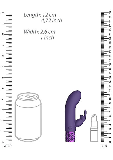ROYAL GEMS DAZZLING PURPLE RECHARGEABLE SILICONE BULLET