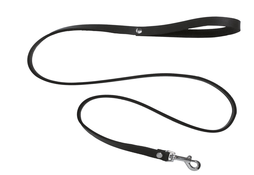4 FT LEATHER LEASH