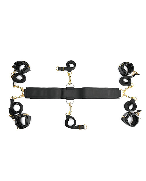 SPECIAL EDITION UNDER THE BED RESTRAINT SYSTEM