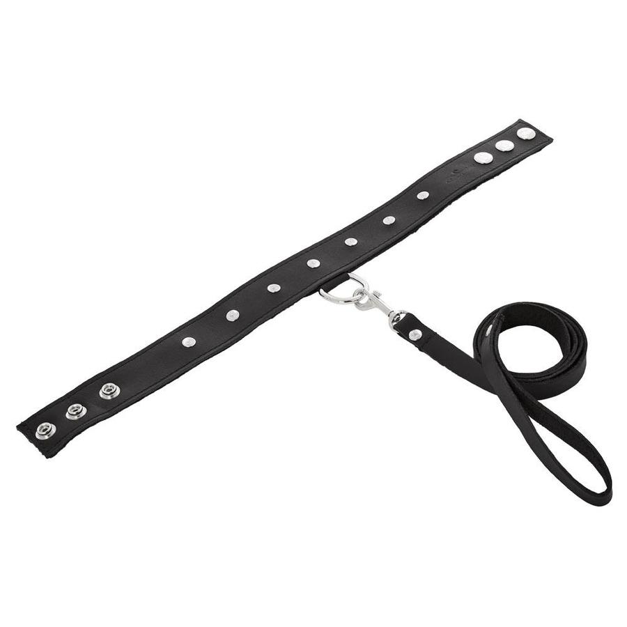 PREMIUM LEATHER LEASH & COLLAR
