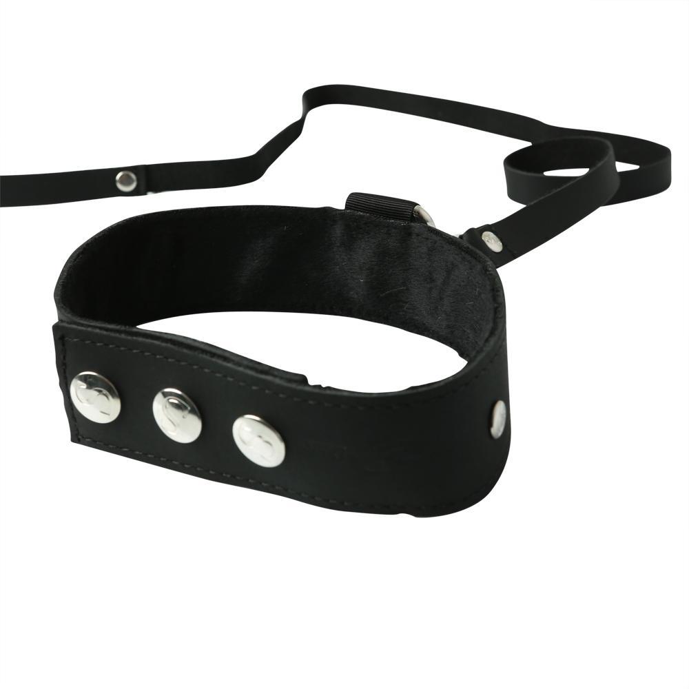 PREMIUM LEATHER LEASH & COLLAR