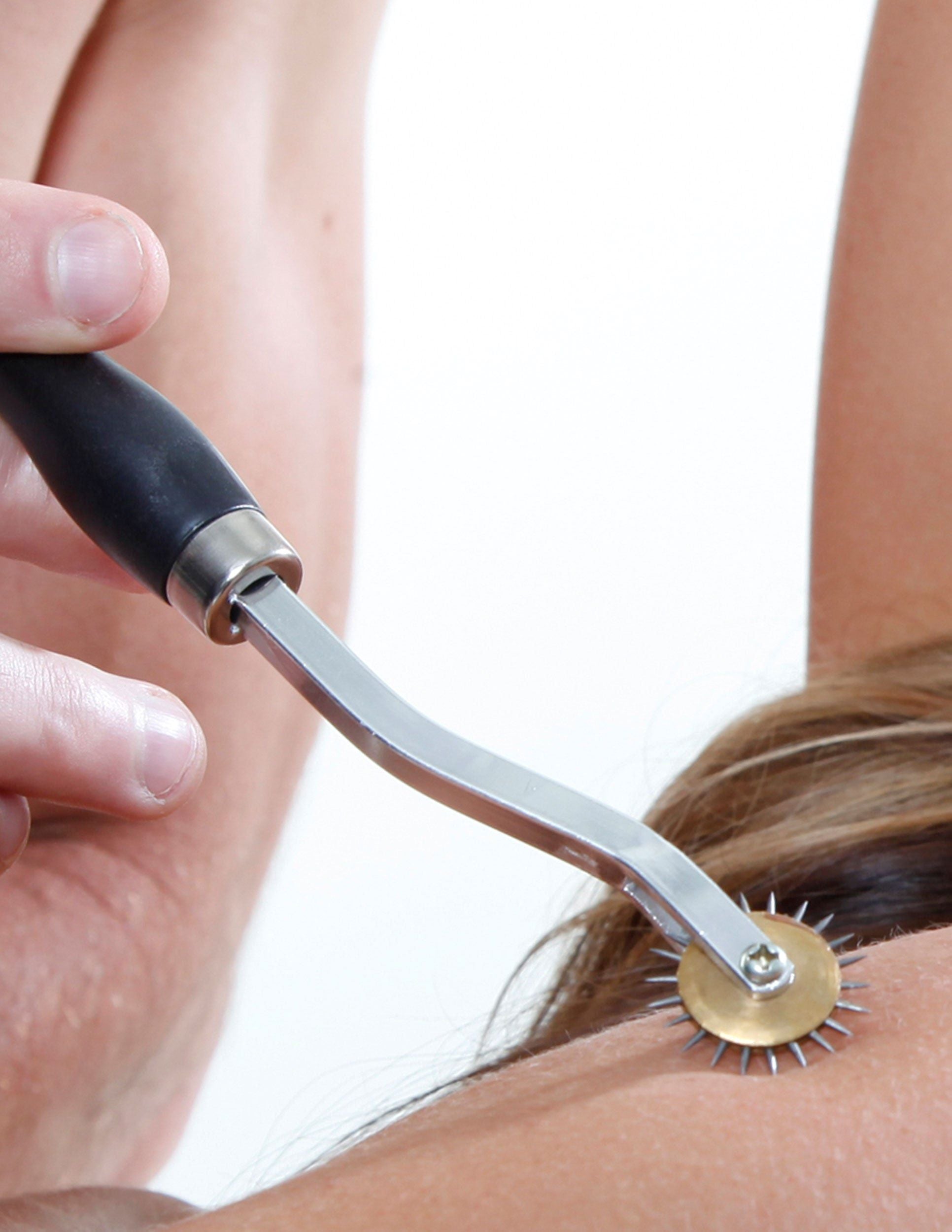 Fetish Fantasy Deluxe Wartenberg Wheel