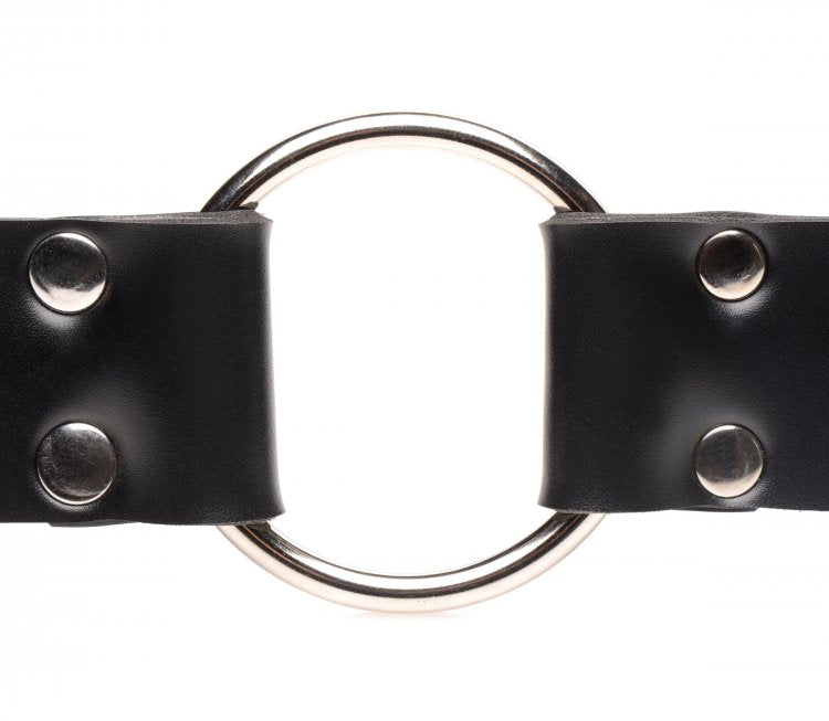 MASTER SERIES STRAP & RIDE DILDO STRAP HARNESS