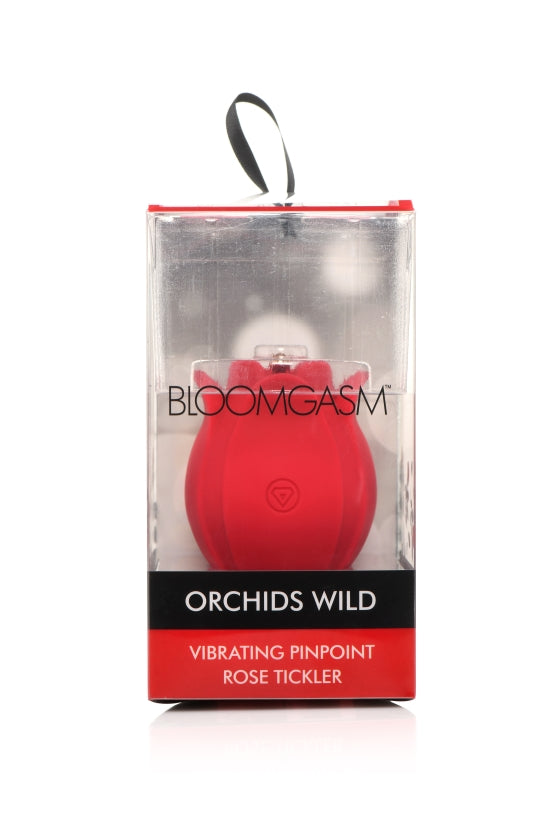 BLOOMGASM ORCHID WILD PINPOINT ROSE TICKLER