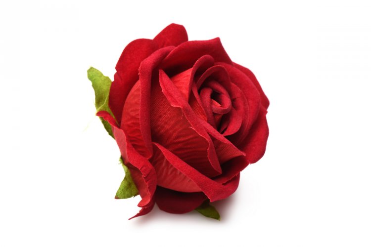 BLOOMGASM THE ROSE LOVERS G BOX RED