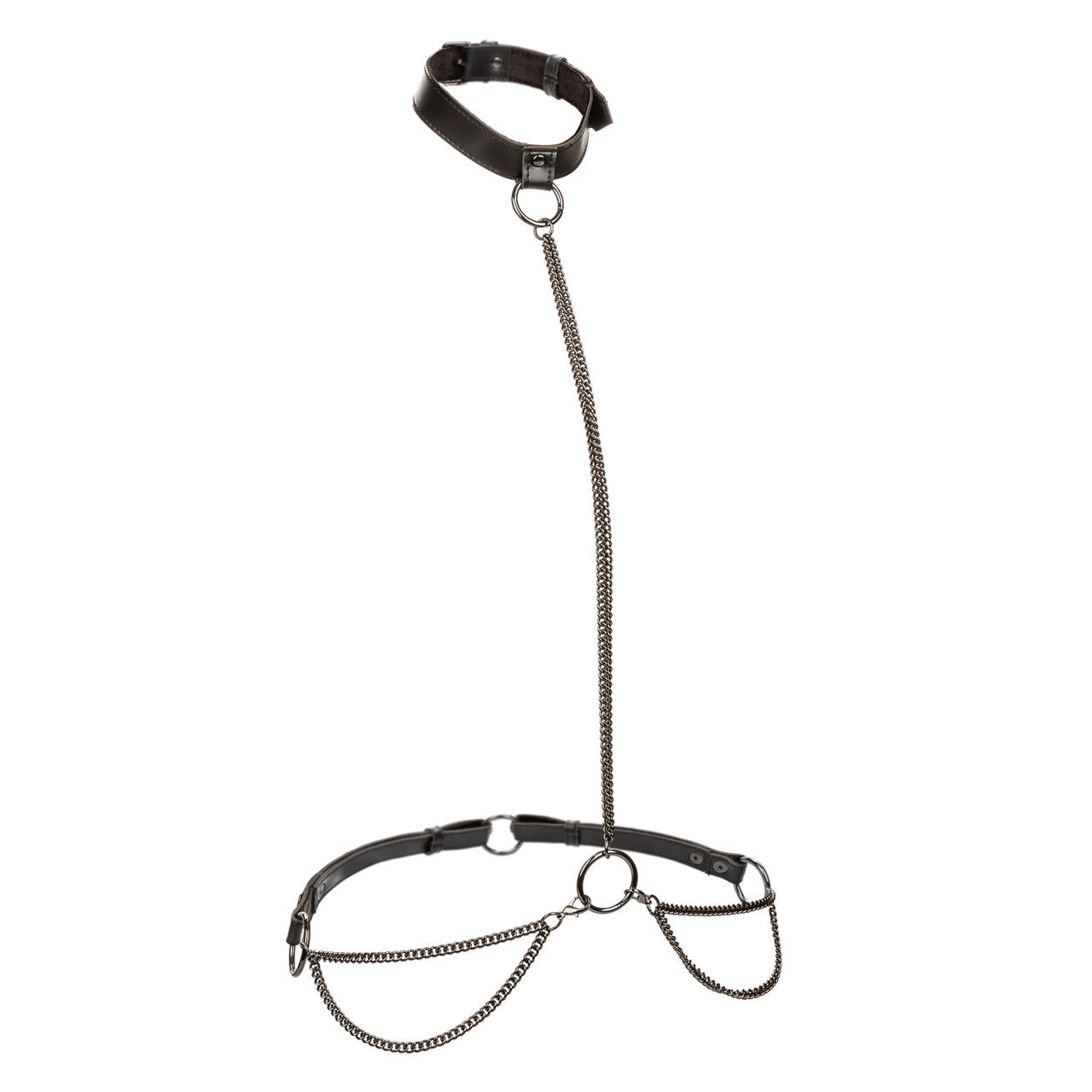 EUPHORIA CHAIN HALTER COLLAR & LEASH