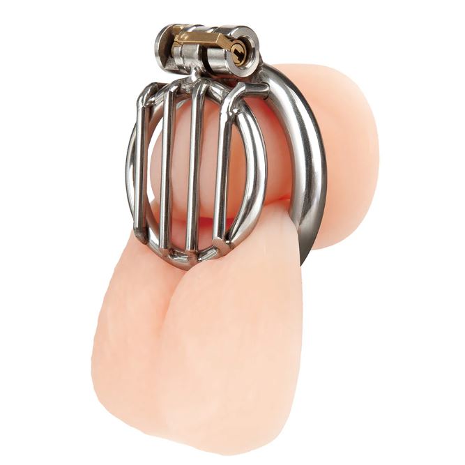 STAINLESS STEEL INVERTED MICRO JAIL TIME CHASTITY CAGE