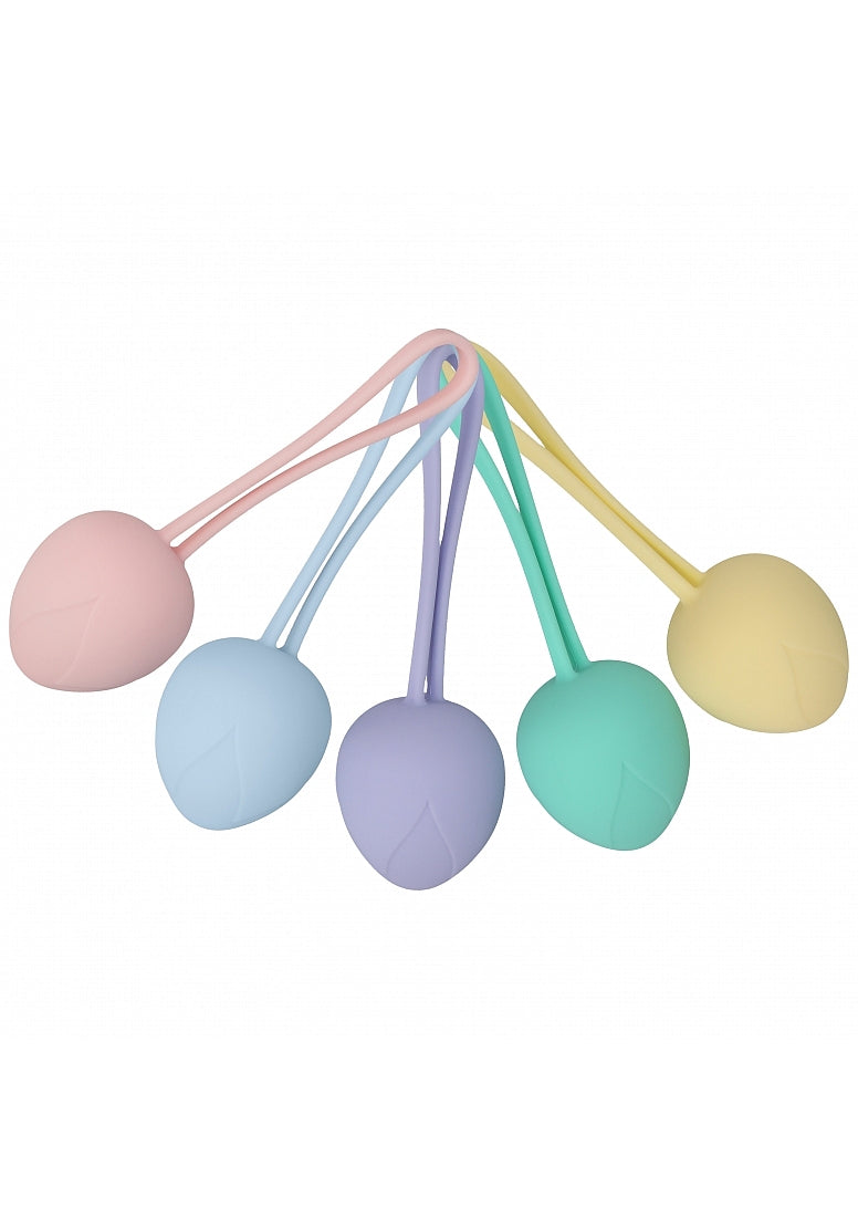 LOVELINE PELVIFIT BERRY KEGEL MULTICOLOR